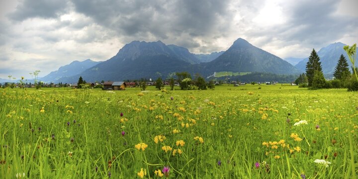 Loretto meadows near Oberstdorf, behind Oberstdorf and the Allg&auml;u Alps, Allg&auml;u, Bavaria, Germany