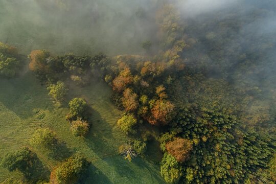 Aerial view of a forest in autumn, fog, Alpine foothills, Bavaria, Germany