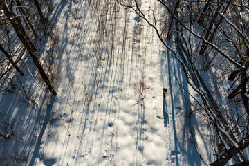 Aerial view of a solitary drone operator trekking a snowy forest path, long shadows stretch across...