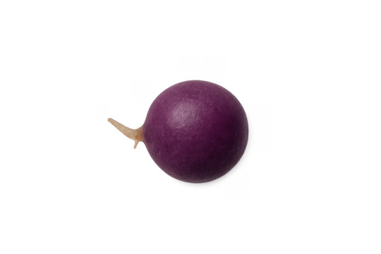 Single purple grape fruit with transparent background