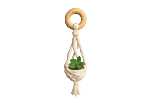 Macrame plant hanger holding small succulent isolated