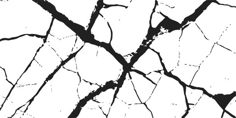 Black and white silhouette of tree branches on a dry cracked earth texture pattern
