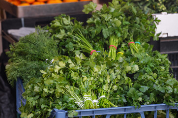 Bunches of parsley on a market counter. Bunches of dill, cilantro, and lettuce. Salad greens. Close-up of bunches of green celery at a street food market. Fresh herbs on display at a grocery store.