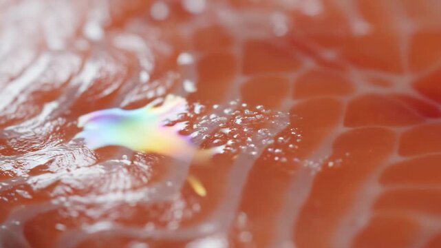 Close-up macro shot of glistening, iridescent fish scales on raw salmon flesh, highlighting texture and color