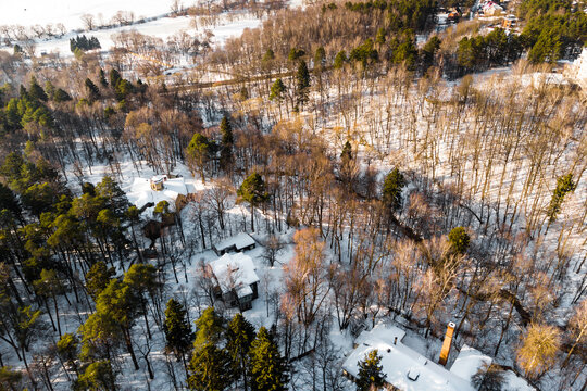 Aerial view captures a snowy winter forest scene with scattered houses nestled among bare and evergreen trees under bright sunlight