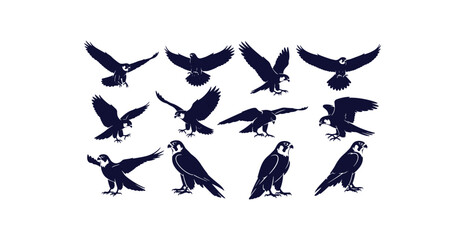 Collection of eagle silhouettes from multiple angles for wildlife and nature designs