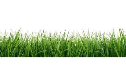 Obraz premium Lush Green Grass Field With Fresh Blades Swaying Gently in the Breeze on a Sunny Day