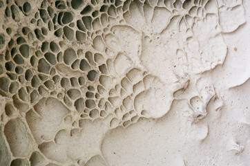 eroded sandstone cavity with organic patterns