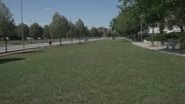 Grass trees street gimbal stabilized traveling walking Terrassa road low
