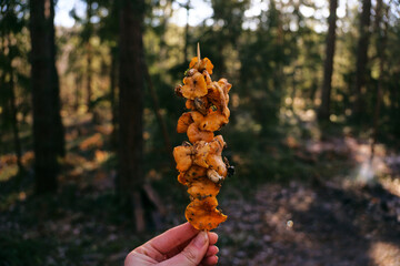 Mushrooms on a skewer. Grilled chanterelle kebabs. Mushroom skewers in the forest