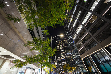 Fototapeta premium Night view of modern office buildings and street trees in downtown Toronto with illuminated windows and urban lighting.