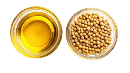 Soybean oil and soybeans in oval containers isolated on transparent background