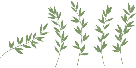 Minimalist Vector Set of Greenery Branches, Featuring Simple Stylized Leaves and Stems, Ideal for Organic, Wedding, and Nature-Themed Designs