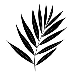 Bold Tropical Palm Leaf Silhouette