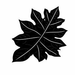 Solid Black Leaf Silhouette Botanical Vector