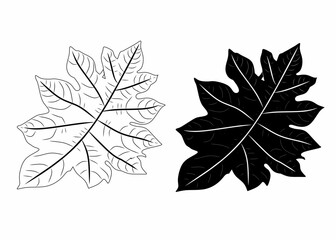 Hand Drawn Leaf Illustration in Outline and Solid Silhouette