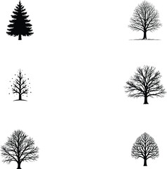 Black tree silhouettes collection showing different species with winter bare branches and evergreen