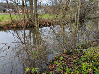Fluss, Schatten, Bach, Zen, Bachlauf, Natur, Entspannung, B&auml;ume