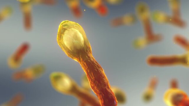 Deadly Clostridium botulinum bacteria generating the potent botulinum neurotoxin. Medical, research, and food safety concept