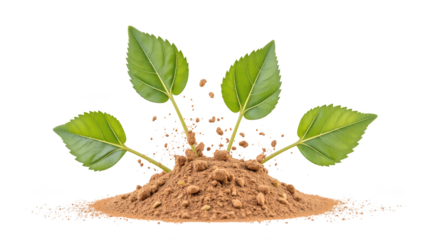 Growing plants emerge from rich soil, symbolizing life and renewal. vibrant green leaves contrast beautifully with earthy tones, creating sense