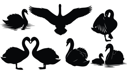 Flat vector illustration of black swan silhouettes in diverse poses: flying, swimming, preening, heart shape, and, isolated on white background
