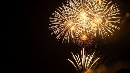 Fototapeta premium Fireworks display against dark night sky