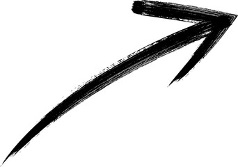 A striking black and white portrait of a majestic lion s face