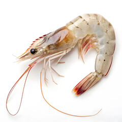 Raw single shrimp isolated on white background showcasing fresh seafood ingredient ideal for cooking, recipes, gourmet dishes,