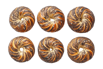 Six nautilus shells arranged in two rows isolated on transparent background
