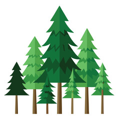 Christmas trees isolated on white