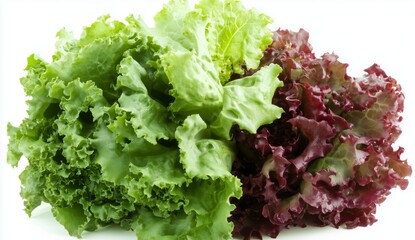 Fresh Lettuce Varieties Displayed on a Clean Surface for Healthy Meal Preparation in a Kitchen