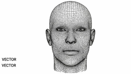 Wireframe Human Head Sculpture Digital Art.
