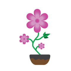 Pink flower growing in a brown pot isolated on white background