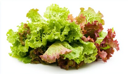 Fresh Lettuce Assortment Ready for Salads, Sandwiches, and Wraps in a Bright Kitchen Setting