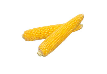 Corn cob isolated.  Sweet corn.
