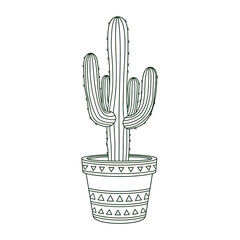 Stylized cactus plant in a decorative pot, embodying desert flora's simple beauty