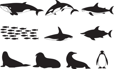 ocean black silhouette sea animals collection educational vector