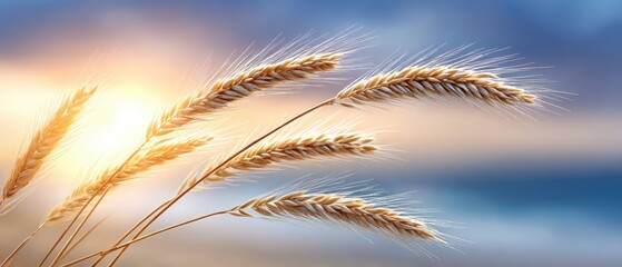 Naklejka premium Golden wheat stalks sway gently as the sun rises over a serene beach at dawn, capturing the beauty of nature in a tranquil moment