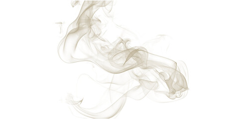 Ethereal Smoke Art Swirling Mist on Black Background Abstract Photography Dreamy Texture Smoky Effect Delicate Movement