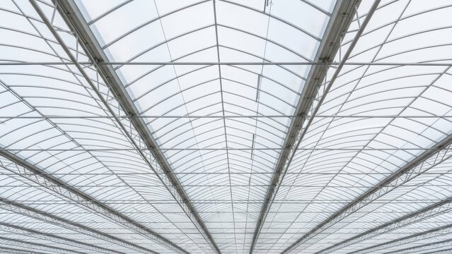 Geometric ceiling architecture with symmetrical glass panels