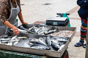 Street fish stall with scale and various fish species, Portugal, Ovar – Furadouro, 9.10.2025