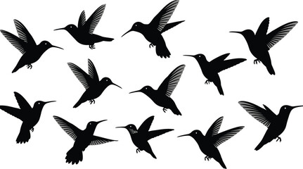Collection of flying hummingbirds black silhouette vector set, movement and speed concept, tropical nature, wildlife, tiny animal flight, and swift bird in 