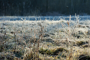 Sunshine on glistening frost-covered meadows on a cold winter morning with sunshine and blue skies in Siebenbrunn