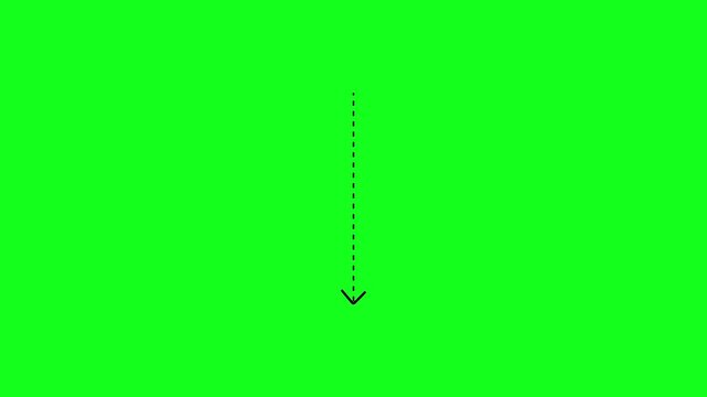 down arrow direction icon with dotted line animation on green background. dot arrows icon sign animated with alpha channel. black down straight arrows animation. 4k motion video animation.