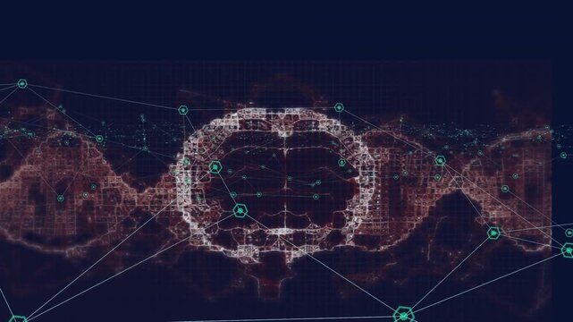 Oval circuit appearing brain neural-net forming and pulsing nodes linking along helix showing links - Powered by Adobe