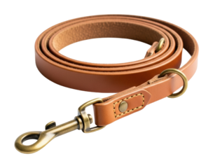 Dog leash accessories for pets home product showcase