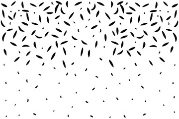 Black and White Confetti Celebration Background Vector