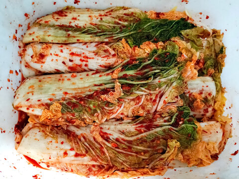 Freshly fermented napa cabbage kimchi prepared in a white container, showcasing traditional Korean cuisine and healthy probiotic food concept