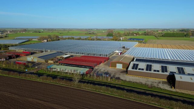 High drone view of modern greenhouse blocks, agricultural storage warehouses, pallet stacks and rural farming facilities across open countryside near Kings Lynn, UK