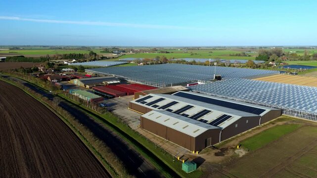 High drone view of modern greenhouse blocks, agricultural storage warehouses, pallet stacks and rural farming facilities across open countryside near Kings Lynn, UK